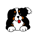 Waggy Tail